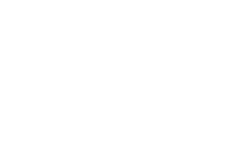 wealth logo